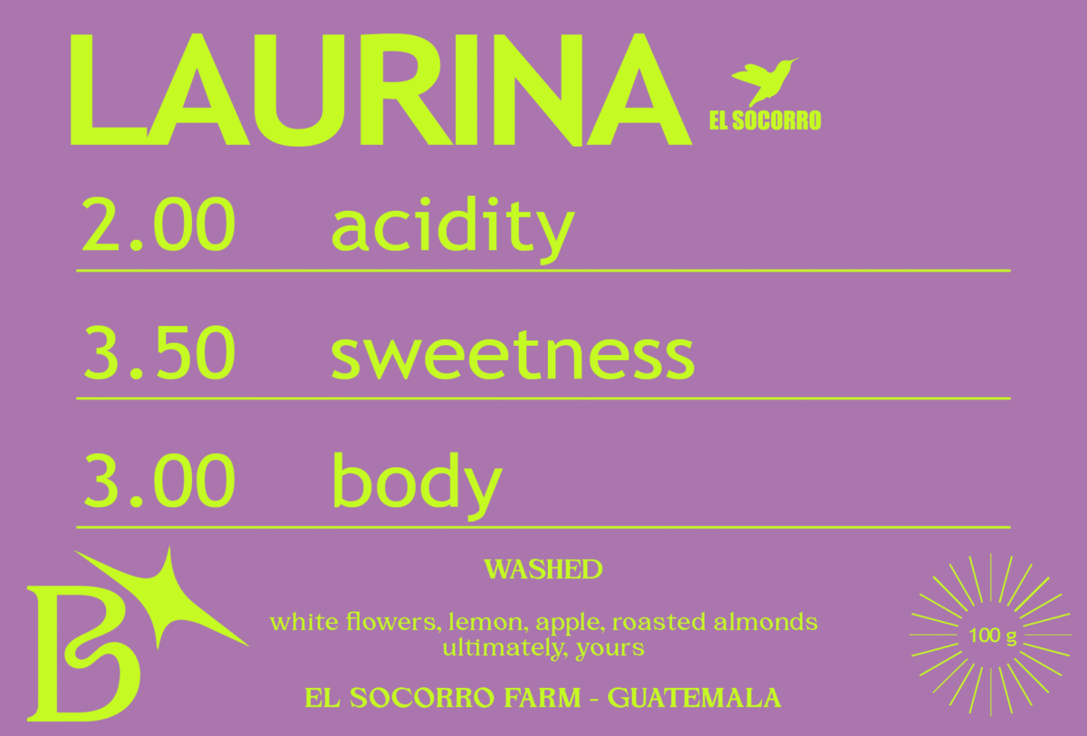 WASHED LAURINA from EL SOCORRO FARM