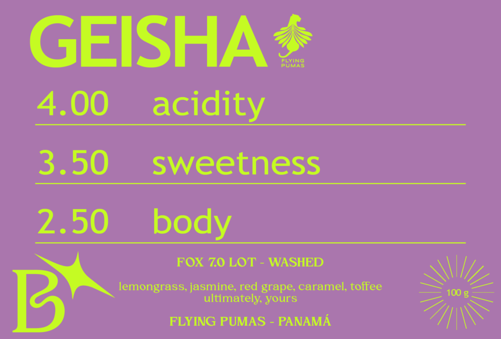 WASHED GEISHA from FLYING PUMAS