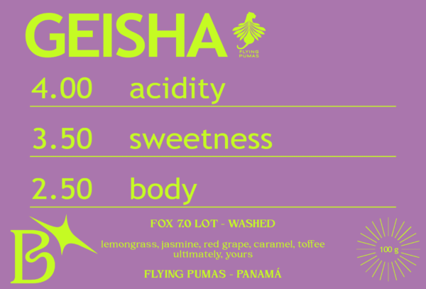 WASHED GEISHA from FLYING PUMAS