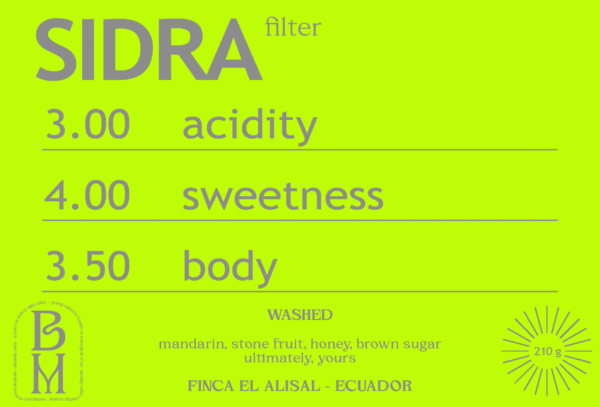 WASHED SIDRA from FINCA EL ALISAL