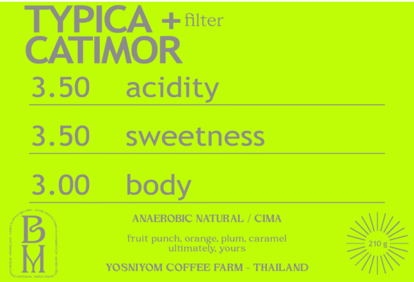 ANAEROBIC NATURAL CIMA TYPICA + CATIMOR from YOSNIYOM COFFEE FARM