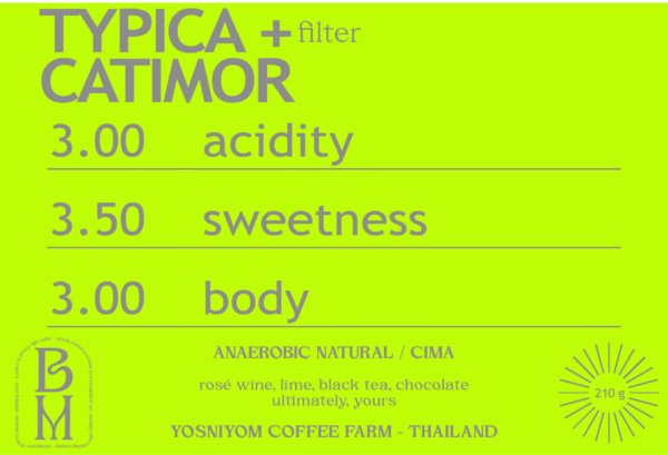 AN KOMBUCHA CO-FERMENT TYPICA + CATIMOR from YOSNIYOM COFFEE FARM