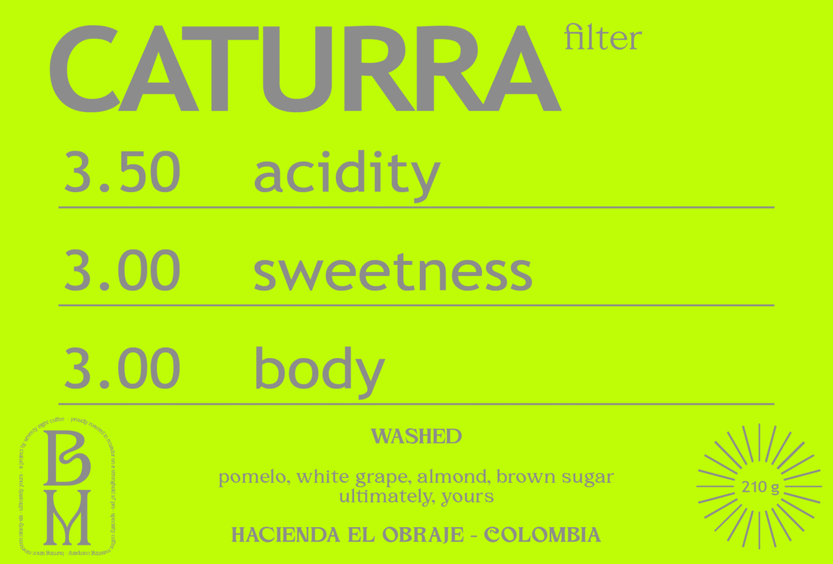 WASHED CATURRA from EL OBRAJE