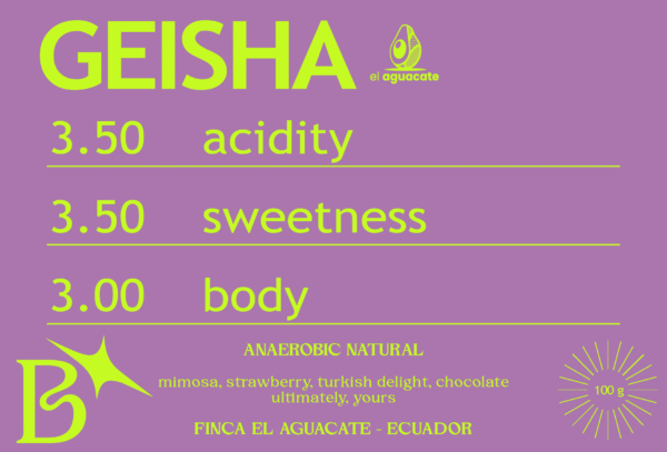 ANAEROBIC NATURAL GEISHA from FINCA EL AGUACATE