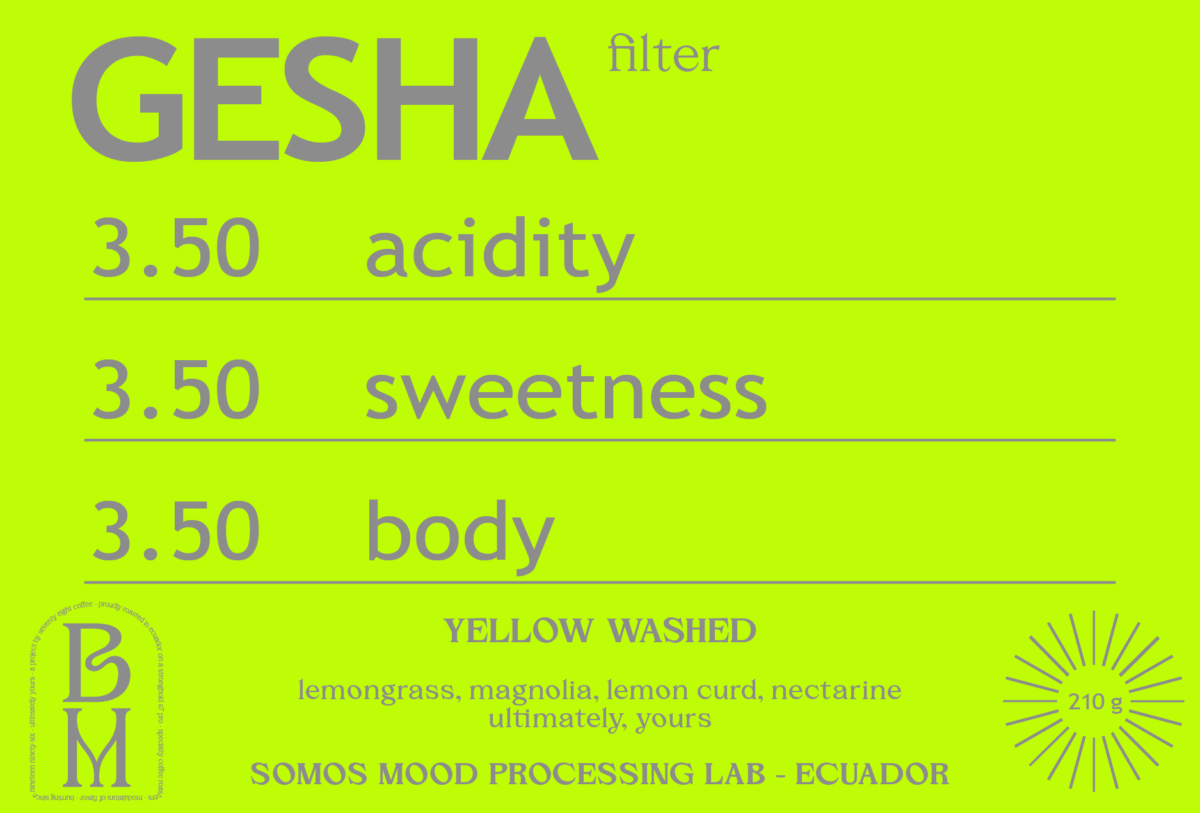 YELLOW WASHED GEISHA from SOMOS MOOD PROCESSING LAB