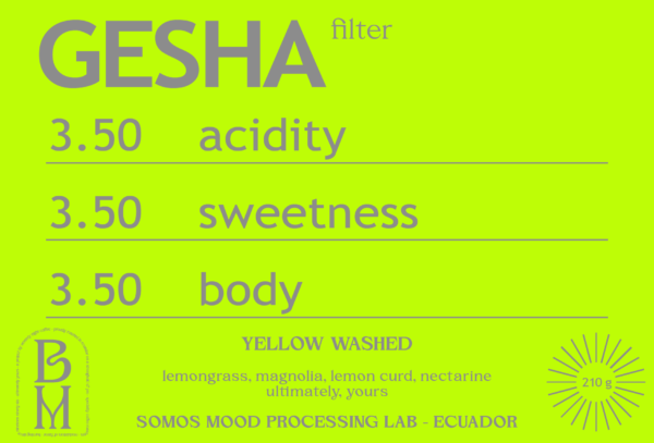 YELLOW WASHED GEISHA from SOMOS MOOD PROCESSING LAB