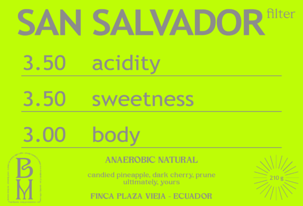 ANAEROBIC NATURAL SAN SALVADOR from PLAZA VIEJA