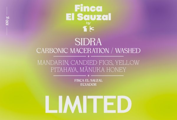 CM WASHED SIDRA from EL SAUZAL