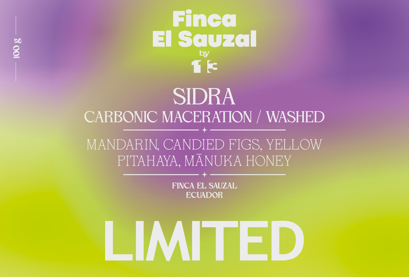 CM WASHED SIDRA from EL SAUZAL
