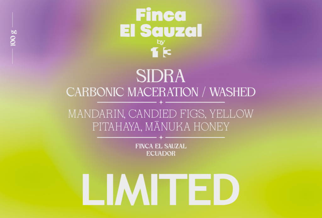 CM WASHED SIDRA from EL SAUZAL